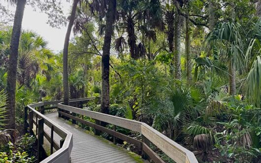 erna nixon park lyh